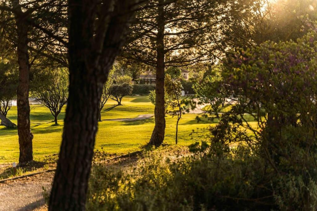 Magnifique Vue Lac Au Golf De Pont-Royal Mallemort Exteriör bild